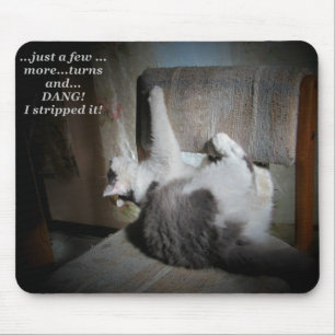 Cat upholstery repair meme mouse mat