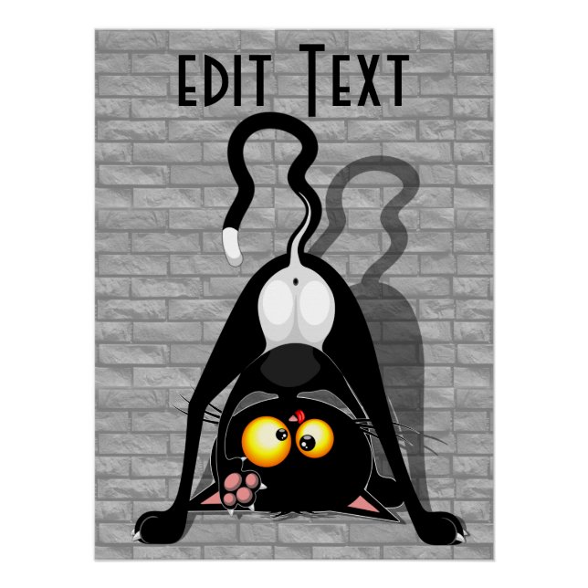 Cat Upside Down Funny Cartoon Character Poster (Front)