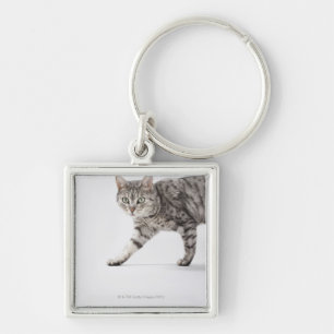 Cat walking key ring