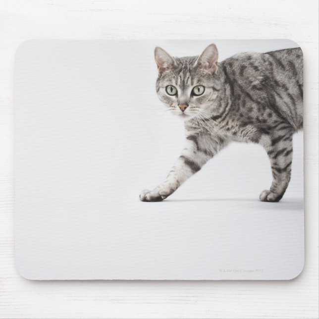 Cat walking mouse mat (Front)