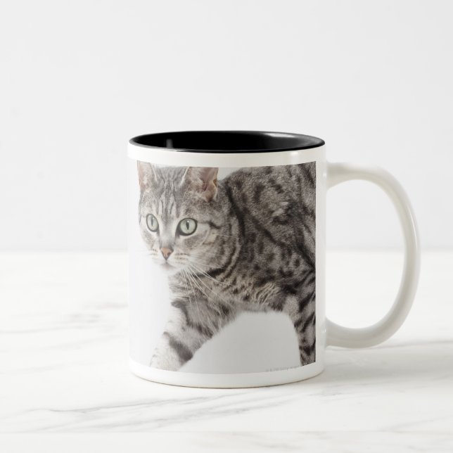 Cat walking Two-Tone coffee mug (Right)