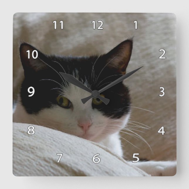 Cat Wall Clock (Front)