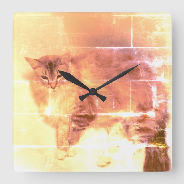 Cat Wall Clock (Front)