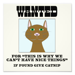 Cat Wanted Poster print