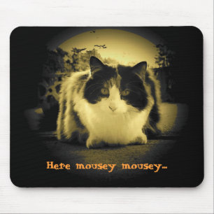 Cat Wants Mice to Come Out and Play Mouse Mat