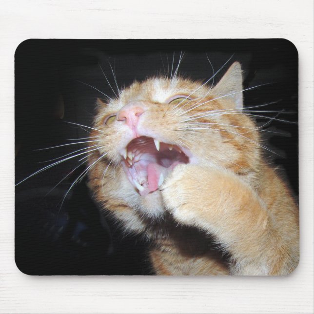 Cat wants the mouse mat (Front)