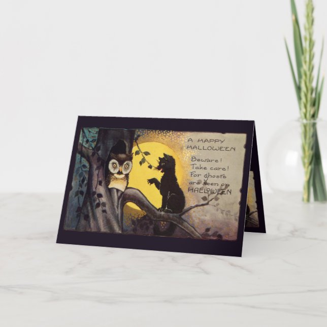 Cat Warning Owl Halloween Greeting Card (Front)
