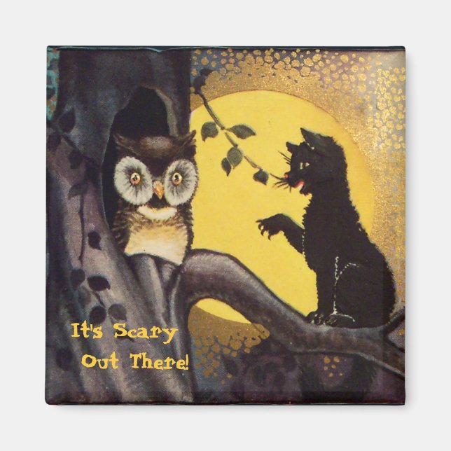 Cat Warning Owl Halloween Magnet (Front)
