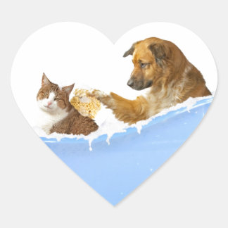 Cat Wash Heart Sticker