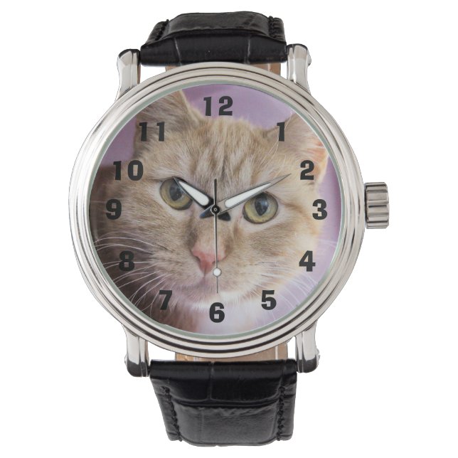 Cat Watch (Front)