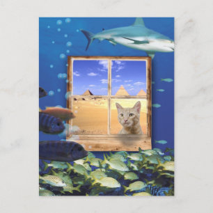 Cat Watching Fish Under the Sea Postcard