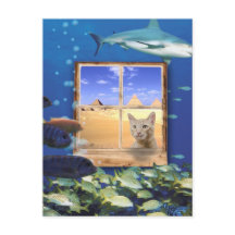 Cat Watching Fish Under the Sea