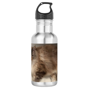 Cat Water Bottle
