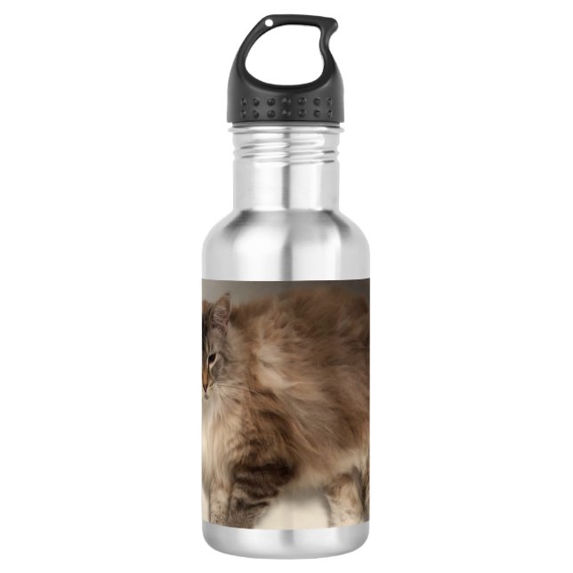 Cat Water Bottle (Front)