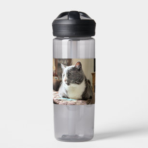 Cat Water Bottle