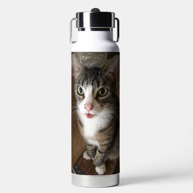 Cat  water bottle (Front)