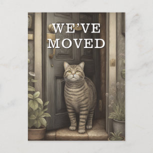 Cat We Have Moved Moving Announcement