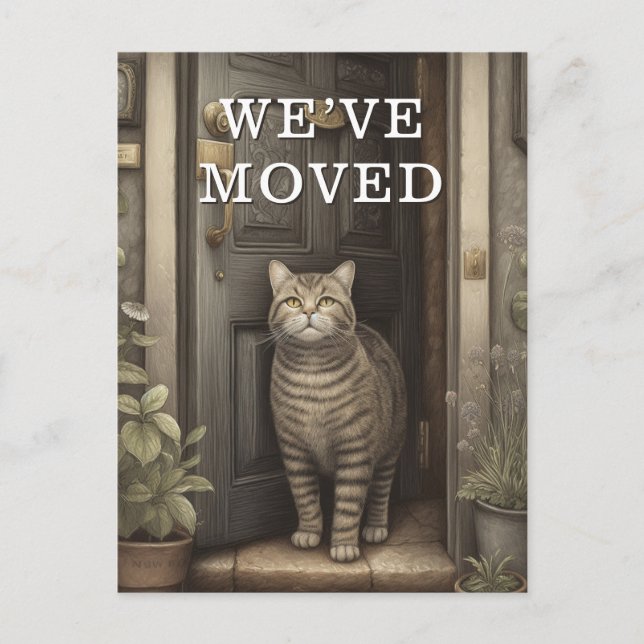 Cat We Have Moved Moving Announcement (Front)