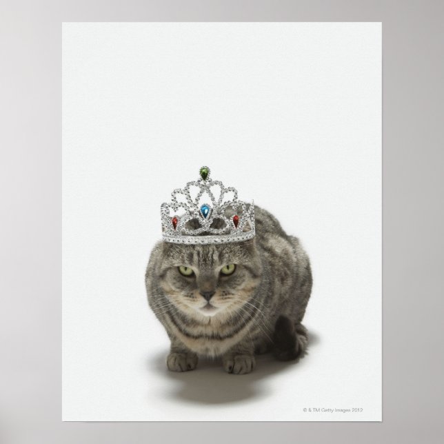 Cat wearing a tiara poster (Front)