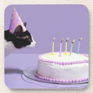 Cat wearing birthday hat blowing out candles on coaster
