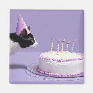 Cat wearing birthday hat blowing out candles on magnet