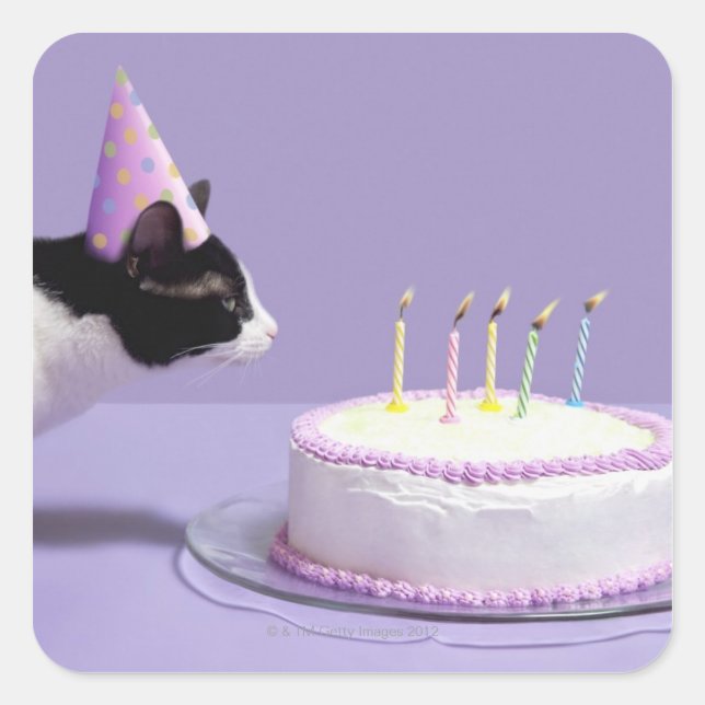 Cat wearing birthday hat blowing out candles square sticker (Front)