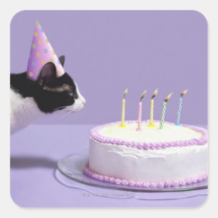 Cat wearing birthday hat blowing out candles square sticker
