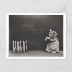 Cat Wearing Clothes and Bowling Vintage Oddity Postcard