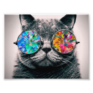 Cat wearing coloured glasses photo print