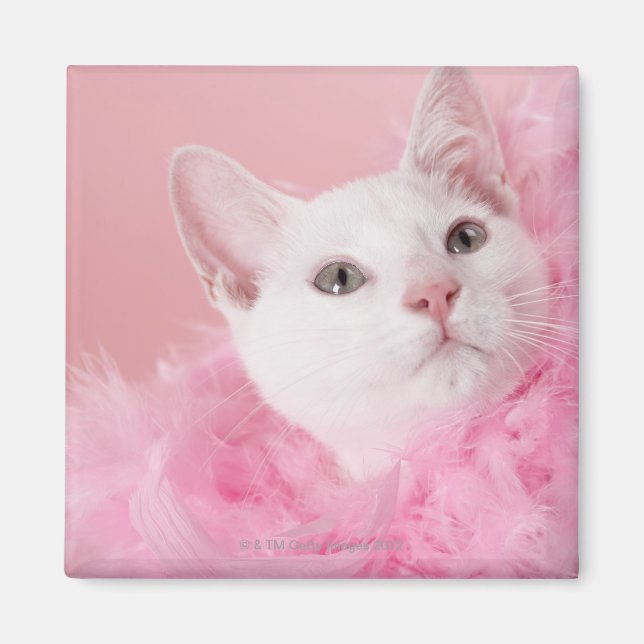 Cat wearing feather boa magnet (Front)