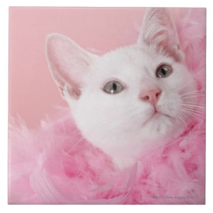 Cat wearing feather boa tile