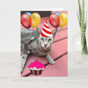 CAT WEARING PARTY HAT FUNNY BIRTHDAY Greeting Card
