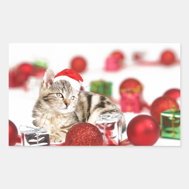 Cat wearing red Santa hat Christmas Ornament Rectangular Sticker (Front)