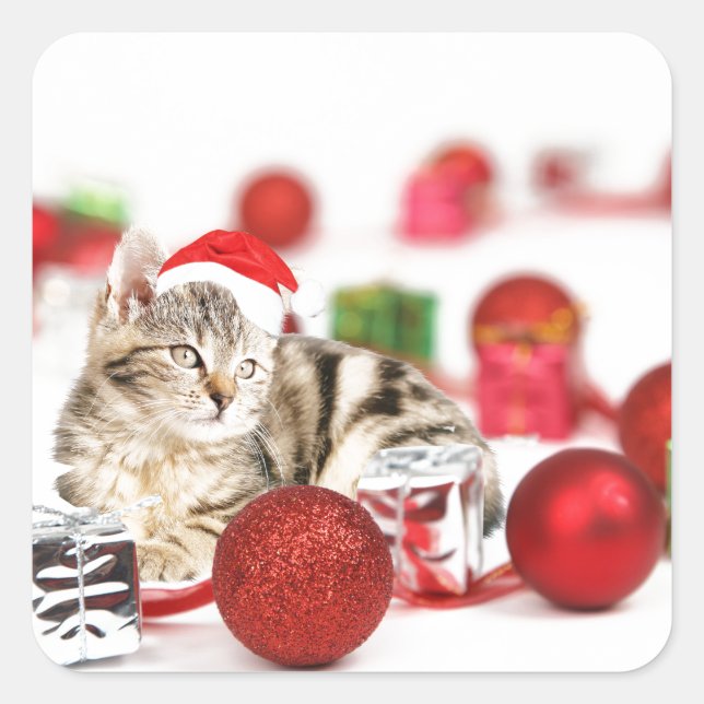 Cat wearing red Santa hat Christmas Ornament Square Sticker (Front)