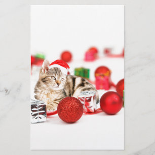 Cat wearing red Santa hat Christmas Ornament Stationery