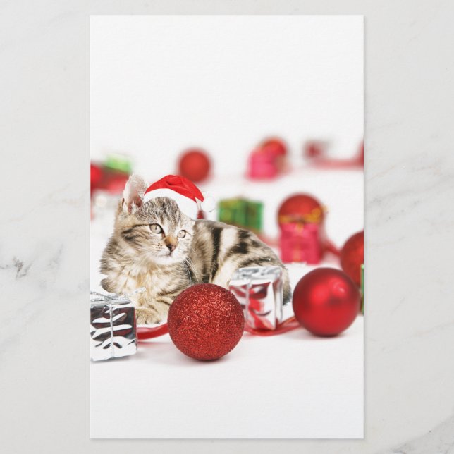 Cat wearing red Santa hat Christmas Ornament Stationery (Front)