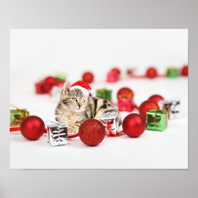 Cat wearing red Santa hat Christmas Poster (Front)