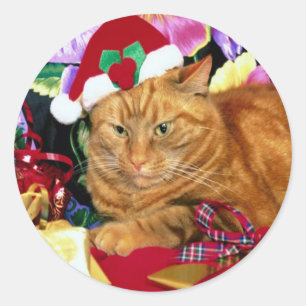 Cat Wearing Santa Claus Hat - Sticker