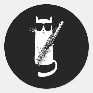 Cat Wearing Sunglasses Playing Flute Classic Round Sticker