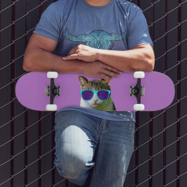 CAT WEARING SUNGLASSES SKATEBOARDS (Outdoor 3)
