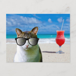 CAT WEARING SUNLASSES ON THE BEACH POSTCARDS