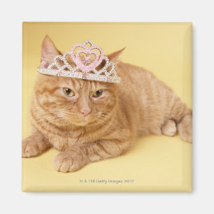Cat wearing tiara magnet
