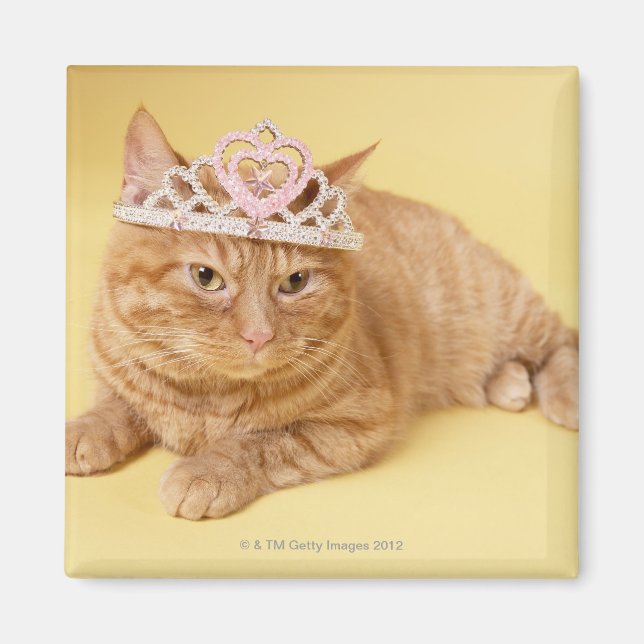 Cat wearing tiara magnet (Front)