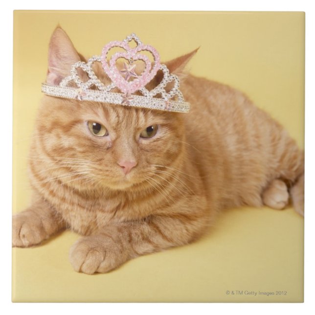 Cat wearing tiara tile (Front)