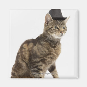 Cat wearing top hat magnet