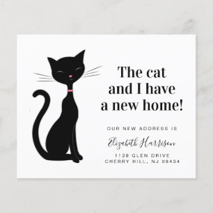 Cat We've Moved New Address Budget Announcement