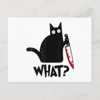 Cat What_ Funny Black Cat