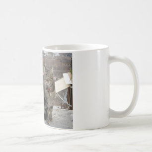 Cat White 325 ml Classic White Mug