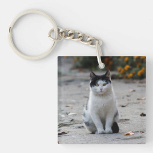 Cat, White, Pet Key Ring