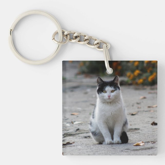 Cat, White, Pet Key Ring (Front)